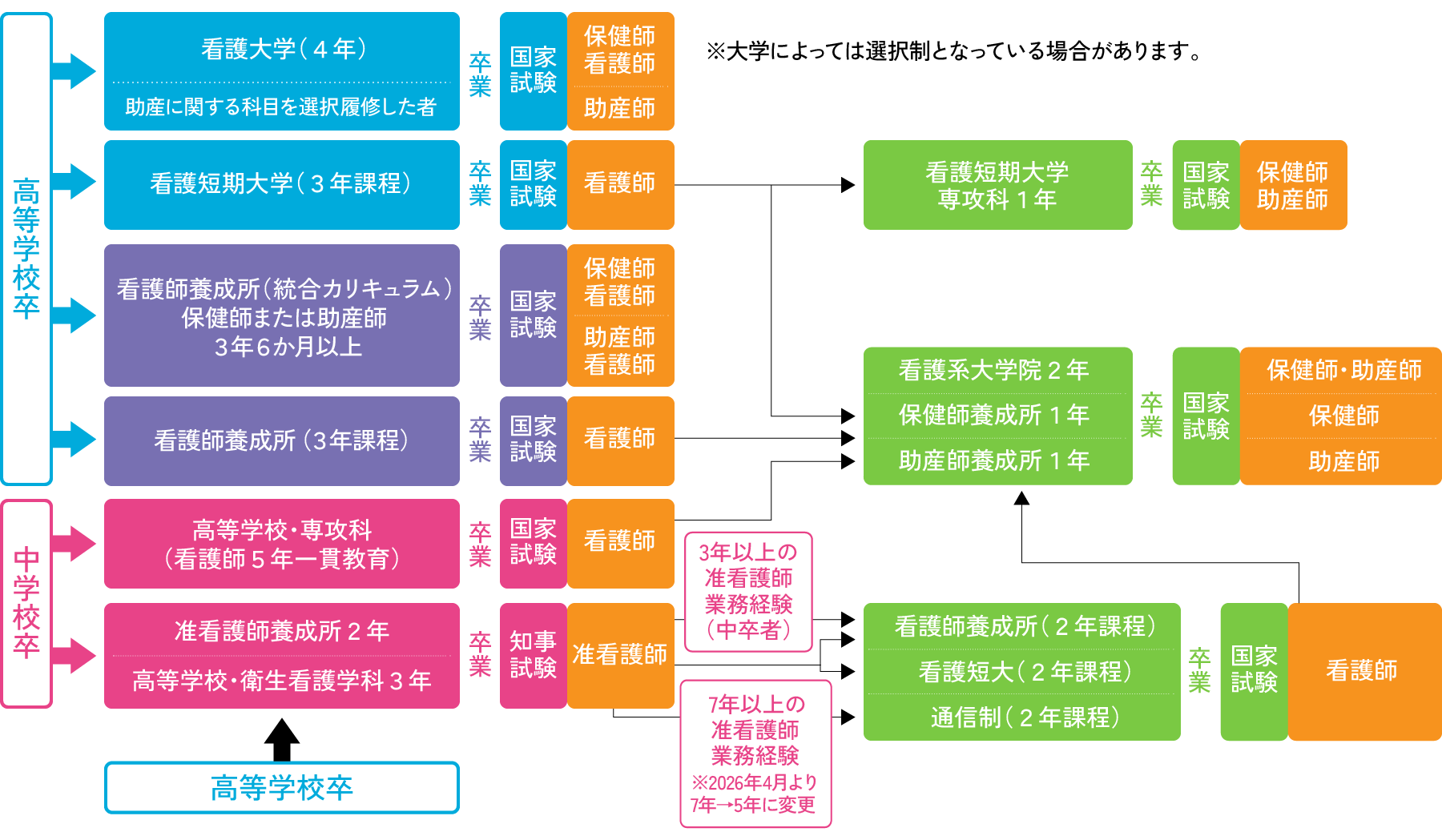 資格取得の過程
